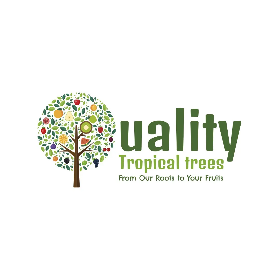 Qualitijlopez logo